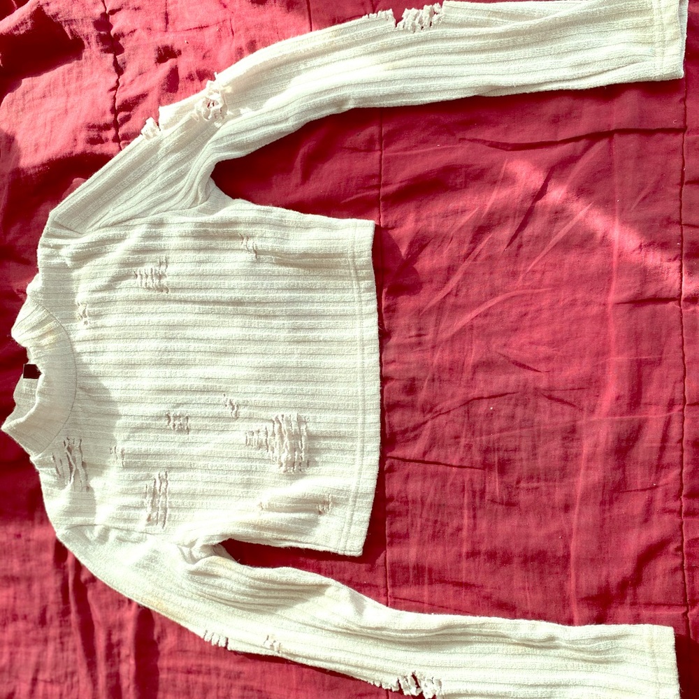 Ripped long Sleeve Crop Top